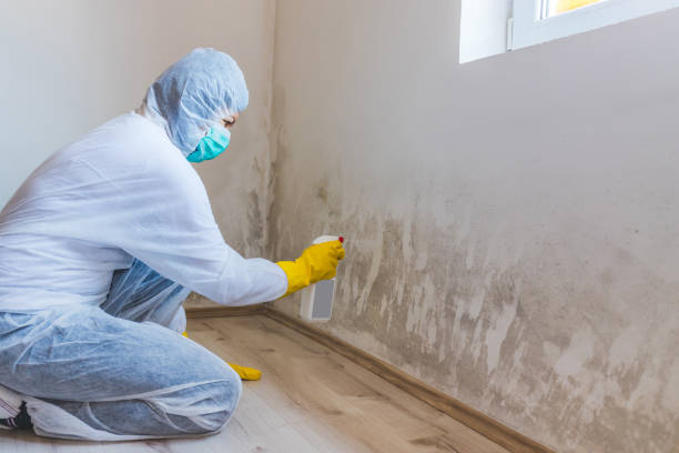 Hvac And Air Duct Mold Remediation inspection of HVAC system in South Mills